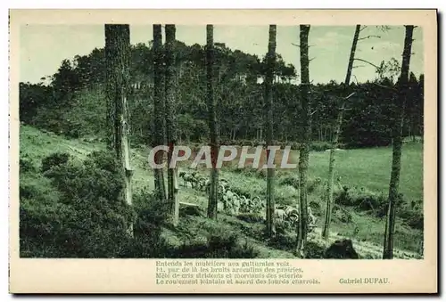 Cartes postales Leon