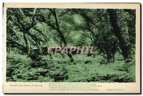 Cartes postales Route de Leon a Vielle