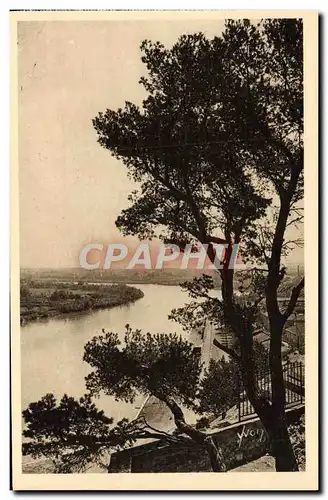 Cartes postales Avignon Le Rhone Vu Du Rocher du Dom