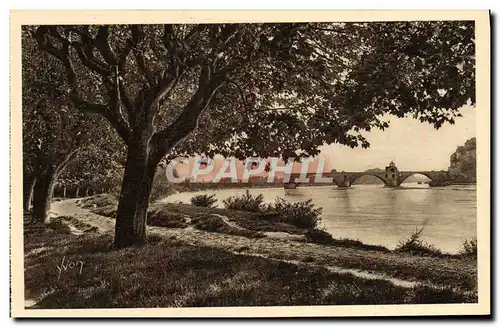 Cartes postales Avignon Le Rhone et le Pont Saint Benezet