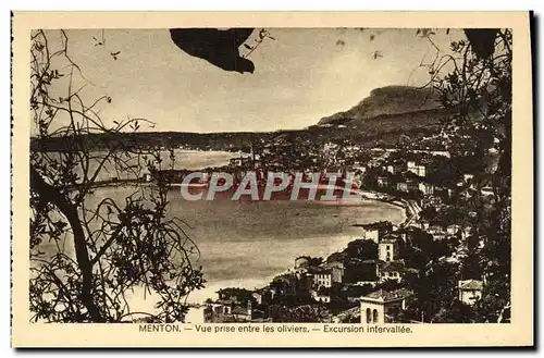 Cartes postales Menton Vue Prise entre les Oliviers Excursion intervallee