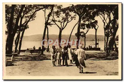 Cartes postales Juan les Pins La pinede