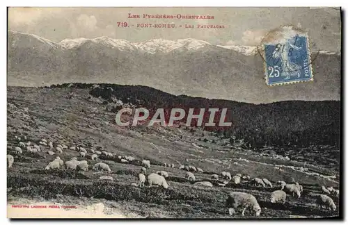 Cartes postales Font Romeu Les Paturages