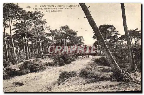 Ansichtskarte AK Arcachon Cote D&#39Argent Route du Moulleau a Travers le Parc des Abatilles