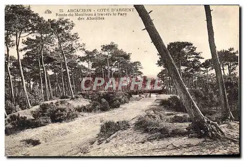 Cartes postales Arcachon Cote D&#39Argent Route du Moulleau a Travers le Parc des Abatilles