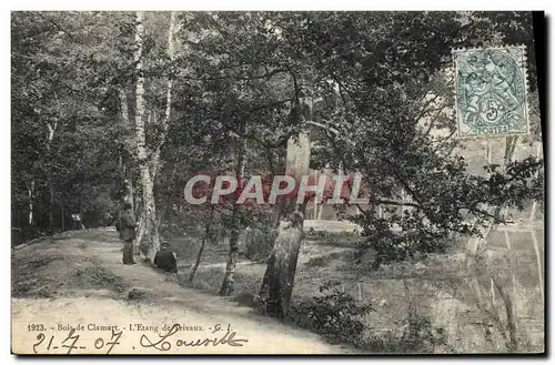 Cartes postales Bois de Clamart L&#39etang des Drivaux