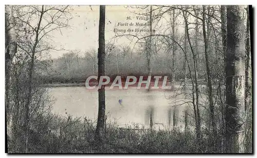 Cartes postales Velizy Foret de Meudon Etang des Ecrevisses