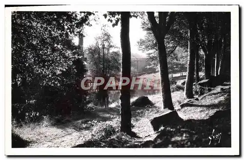 Cartes postales moderne Pont Aven Le Bois d&#39Amour