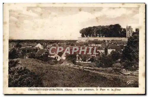 Ansichtskarte AK Chateauneuf Sur Cher Vue Generale le Parc et la Tour