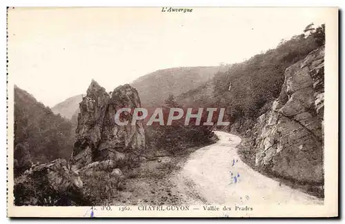 Cartes postales Chatelguyon Vallee Des Prades