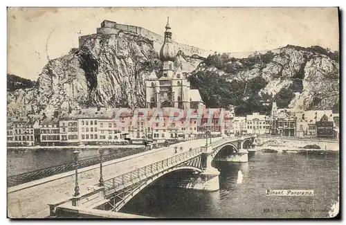 Cartes postales Dinant Panorama