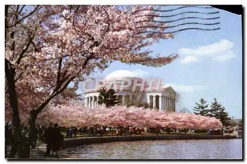 Cartes postales moderne Jefferson Memorial