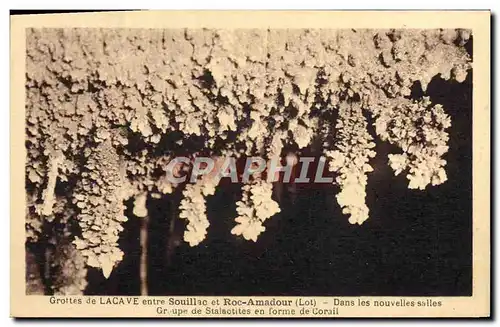 Ansichtskarte AK Grottes De Lacave Entre Souillac Et Roc Amadour Groupe de stalactites en forme de corail