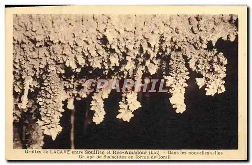 Cartes postales Grottes De Lacave Entre Souillac Et Roc Amadour Groupe de stalactites en forme de corail