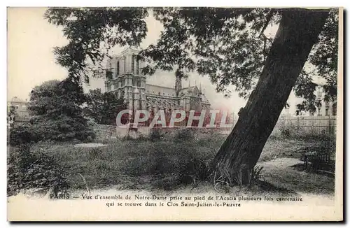 Ansichtskarte AK Paris Vue D&#39Ensemble De Notre Dame Prise De I&#39Acacia centenaire Clos Saint Julien le Pauvr