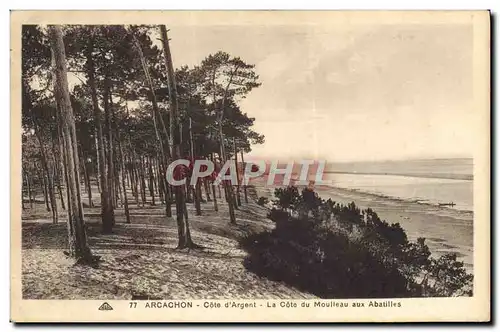 Cartes postales Arcachon Cote D'Argent La Cote Du Moulieau Aux Abatilles