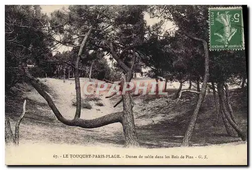 Cartes postales Le Touquet Paris Plage Dunes De Sable Dans Les Bois De Pins