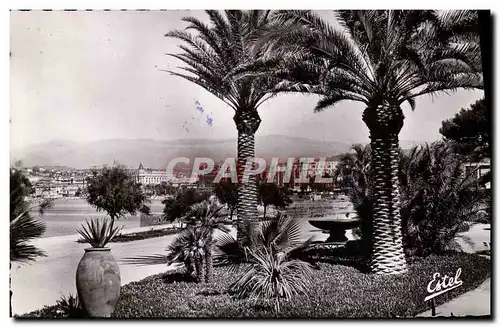 Cartes postales moderne Cannes Le Jardin des Hesperides