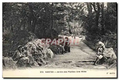 Ansichtskarte AK Nantes Jardin des Plantes Une Allee