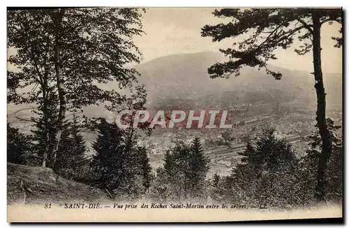 Ansichtskarte AK Saint Die Vue Prise des Rocher Saint Martin entre les arbres