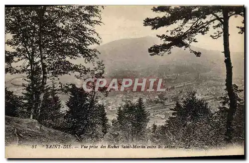 Cartes postales Saint Die Vue Prise des Rocher Saint Martin entre les arbres