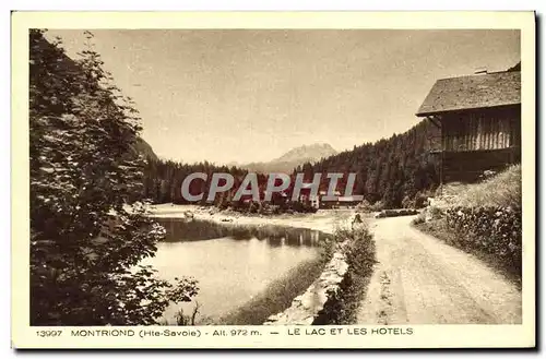 Cartes postales Montriond Le Lac Les Hotels