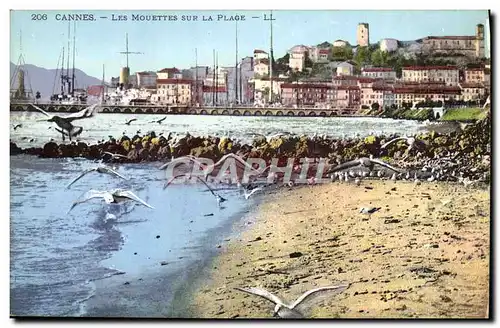 Ansichtskarte AK Cannes Les Mouettes Sur La Plage