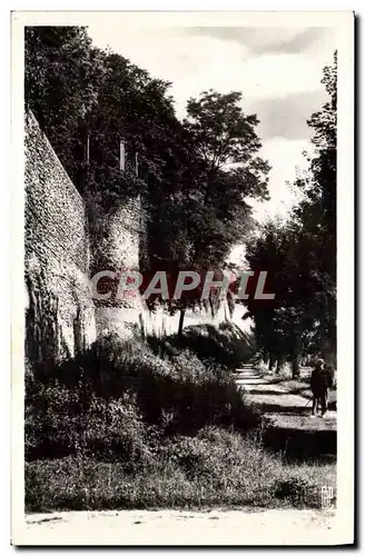 Cartes postales moderne Joigny la Guimbarde