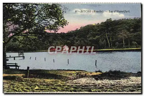 Cartes postales Bitche Lac D'Hasselfurt