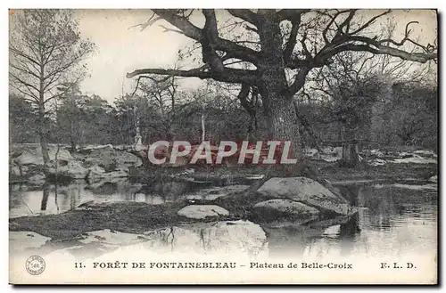 Ansichtskarte AK Foret De Fontainebleau Plateau De Belle Croix