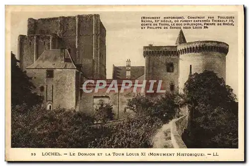 Cartes postales Loches Le Donjon Et La Tour Louis XI