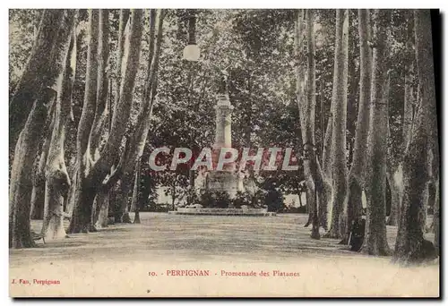 Ansichtskarte AK Perpignan Promenade Des Platanes