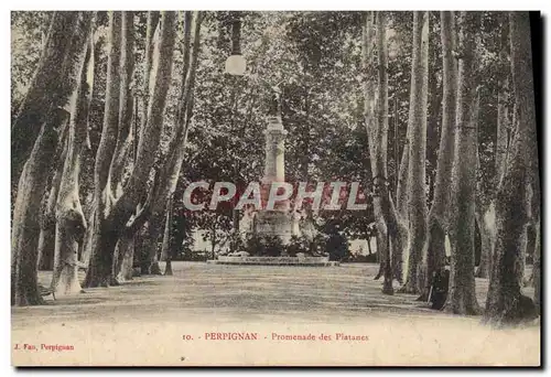 Cartes postales Perpignan Promenade Des Platanes