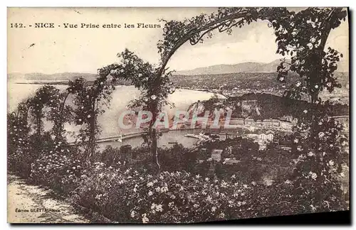 Cartes postales Nice Vue Prise Entre Les Fleurs