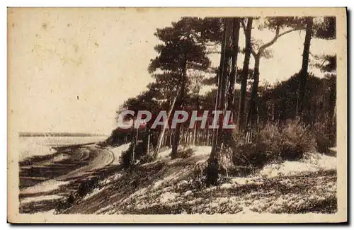 Ansichtskarte AK Le Moulleau Cote D&#39Argent Parc Des Abatilles