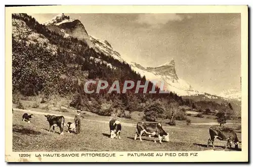 Cartes postales Ka Haute Savoie Pittoresque Paturage Au Pied Des Fiz Vaches