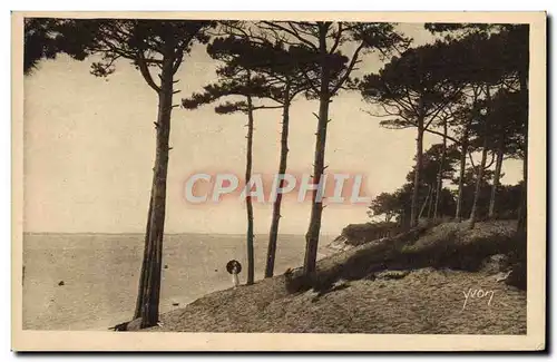 Cartes postales Le Moulleau Parc Des Abatilles