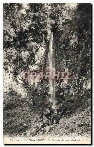 Ansichtskarte AK Env Du Mont Dore La Cascade Du Saut Du Loup