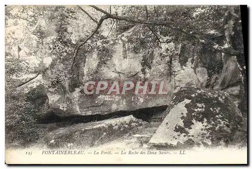 Ansichtskarte AK Fontainebleau La Foret La Roche Des Deux Soeurs