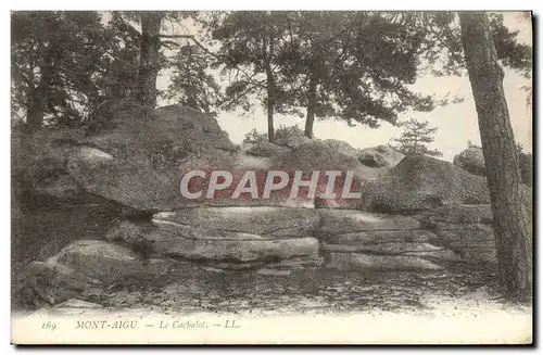 Cartes postales Mont Aigu Le Cachalot