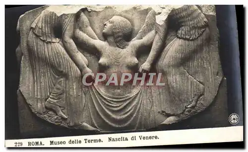 Cartes postales Roma Museo Delle Terme Nascita di Venere