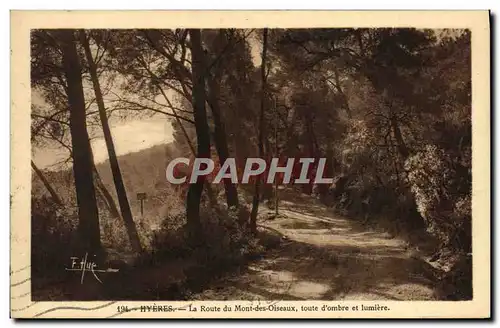 Cartes postales Hyeres La route du Mont des Oiseaux