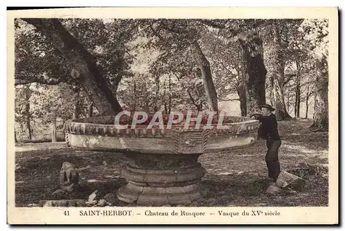 Cartes postales Saint Herbot Chateau de Rusquec Vasque