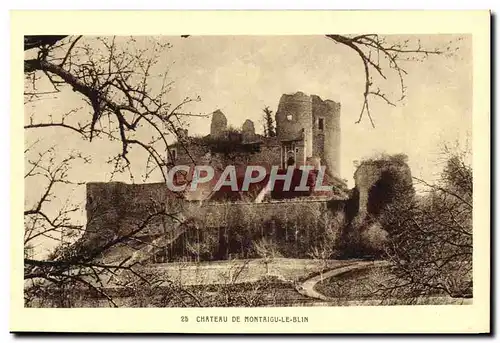 Cartes postales Chateau De Montaigu Le Blin