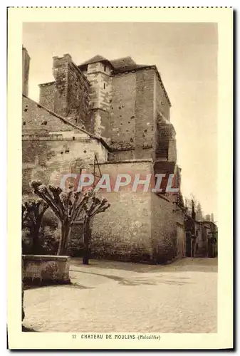 Cartes postales Chateau De Moulins