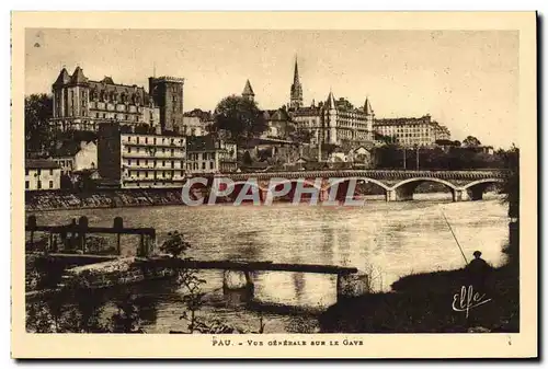 Cartes postales Pau Vue Generale Sur Le Gave