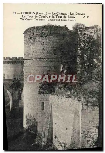 Cartes postales Chinon Le Chateau Les Douves La Tour de Coudry et la Tour de Boissy