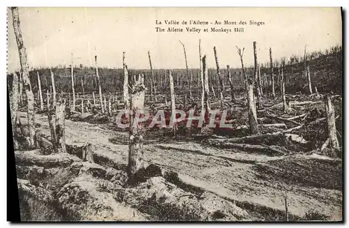 Cartes postales La Vallee De l&#39Ailette Au Mont Des Singes Militaria