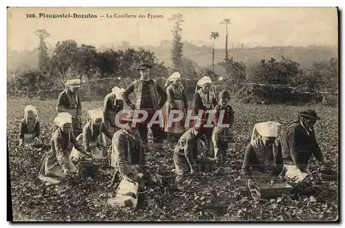 Ansichtskarte AK Plougastel Daoulas La Cueillette Des Fraises Folklore