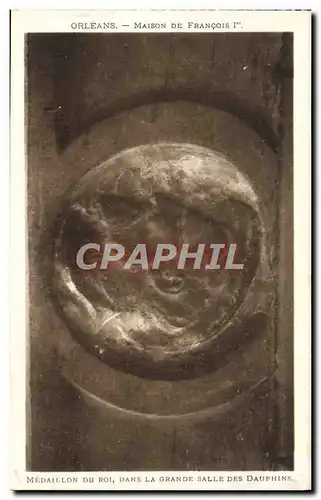 Cartes postales Orleans Maison De Francois 1er Medaillon du roi dans la grande salle des Dauphins